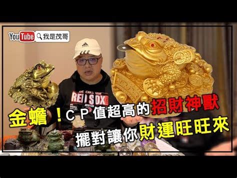 三腳蟾蜍放房間|三腳蟾蜍擺放高度與方位指南：招財進寶祕訣大公開 